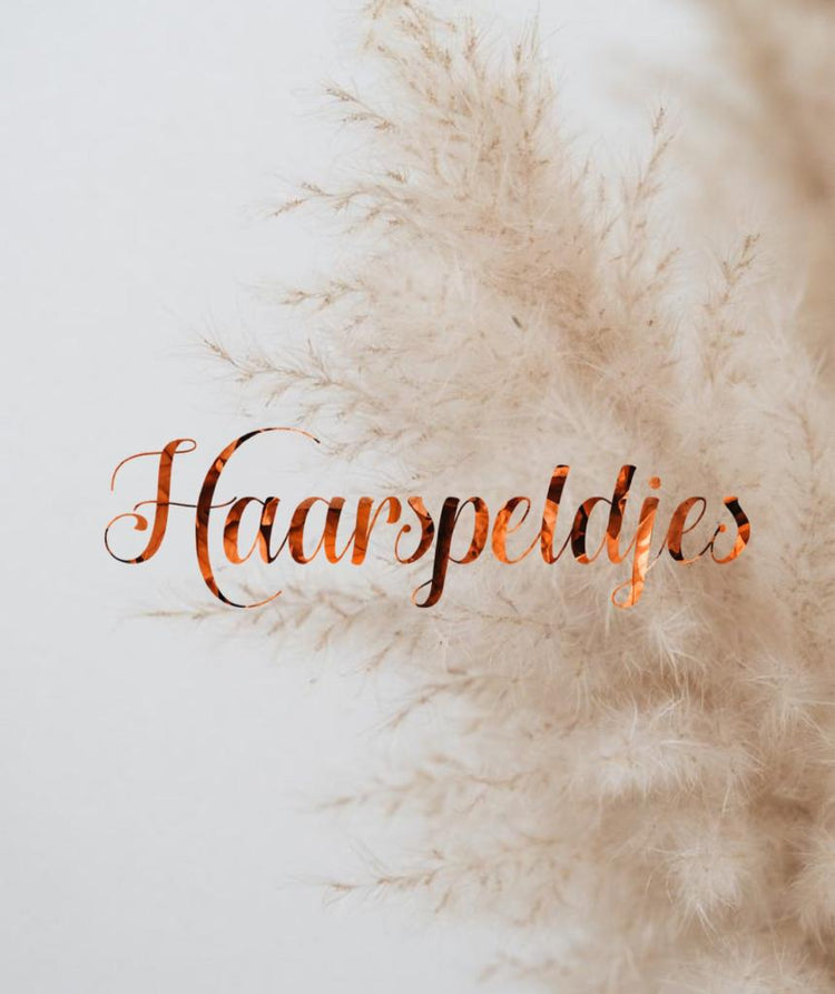 Haarspeldjes