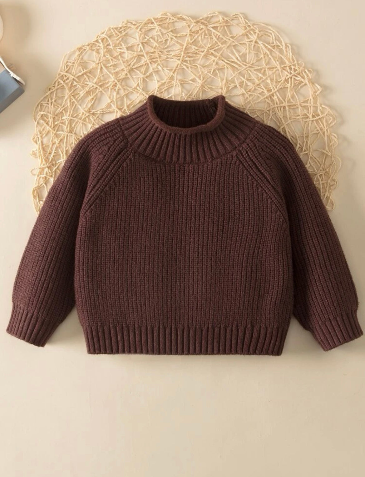 Sweater Bruin