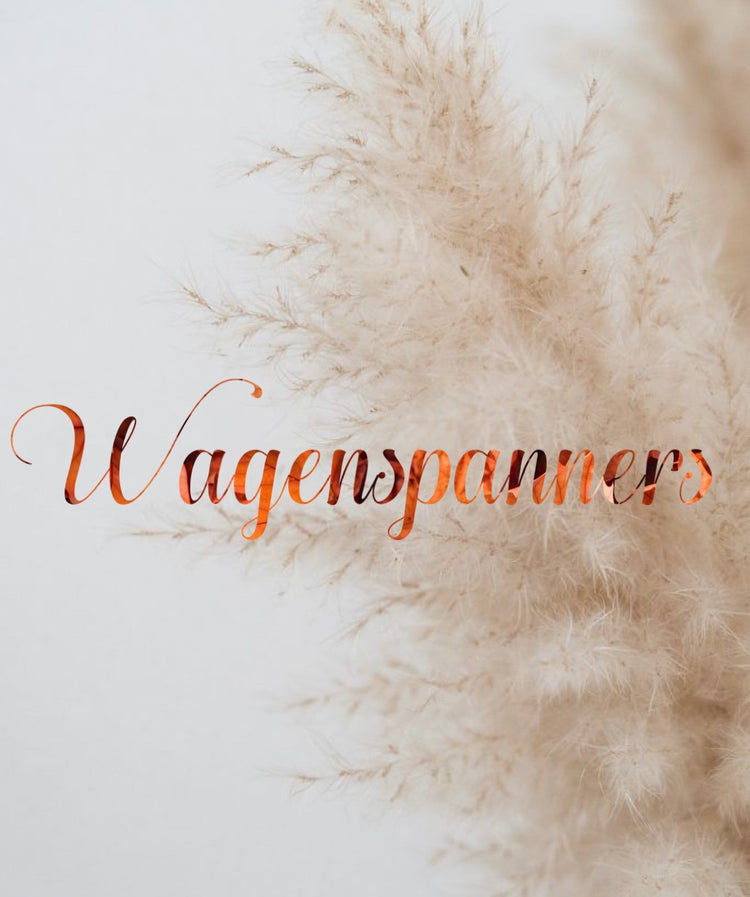 Wagenspanners