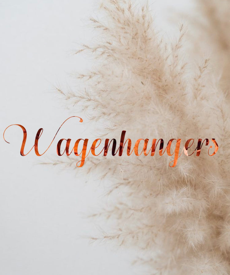 Wagenhanger